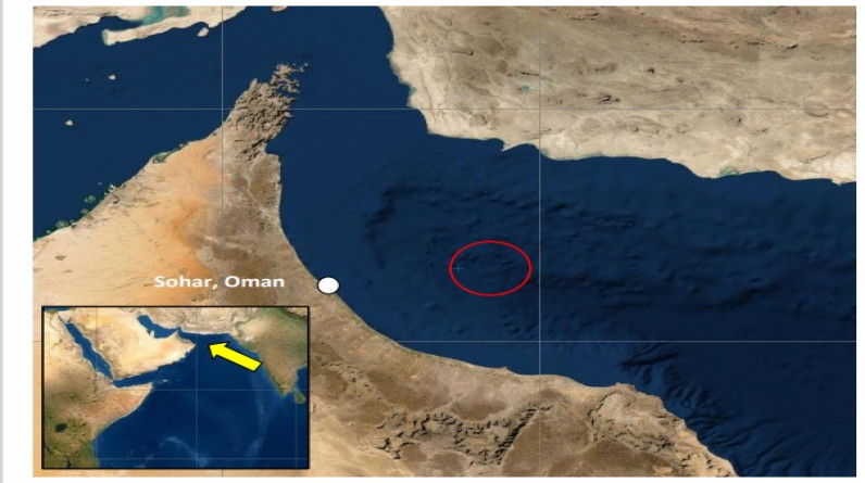 هيئة بريطانية: بلاغ بشأن اعتلاء أشخاص لسفينة قبالة سواحل عمان ولا نستطيع التواصل معها